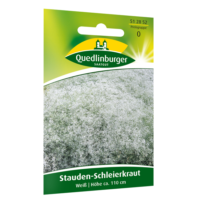 Quedlinburger Staudenschleierkraut weiß