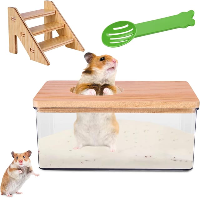 Quadratische, Transparente Acryl-hamstertoilette Mit Leiter, Schaufel Und Deckel Aus Naturholz