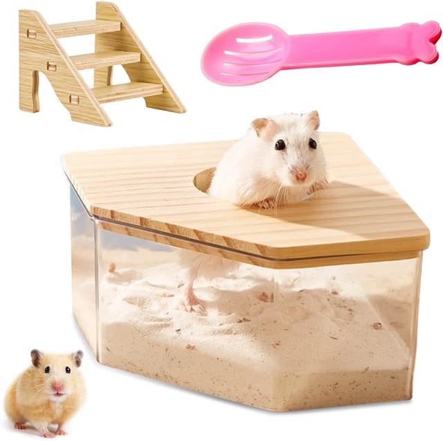 Hamsterbad Aus Durchsichtigem Acryl Mit Holzdeckel, Leiter Und Schaufel