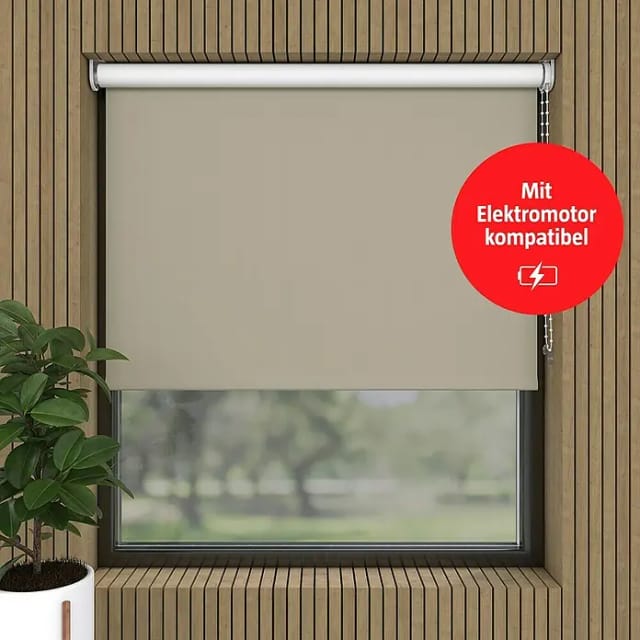 Expo Ambiente Verdunkelungsrollo (B x H: 80 x 190 cm, Zement, Uni)