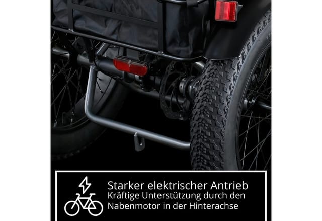 Remington R100 E Bike Dreirad 20 Zoll Elektrodreirad Pedelec City mit tiefem Einstieg
