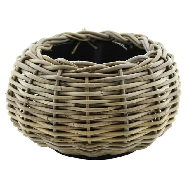 Van der Leeden Pflanzkübel rund Tina (Ø x H: 30 x 19 cm, Rattan, Grau)