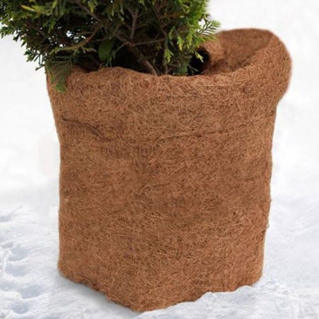 Buri - Pflanzen Kokosmatte Winterschutz Pflanzenschutz Frostschutz Kokosfaser 150x50cm