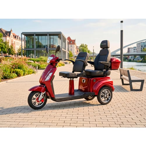 ECONELO E-Seniorenmobil Billy 2.0, Blei-Akku, 3-Rad, 60V, 1000 Watt, groß Sitz, Rot