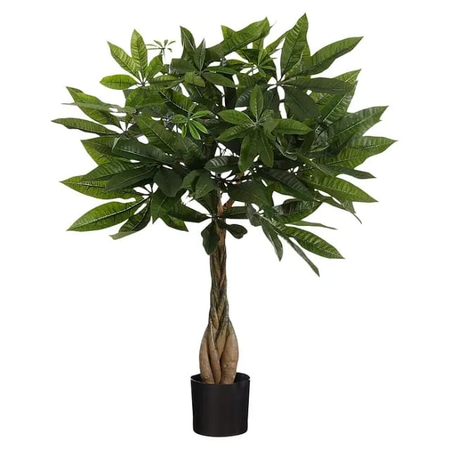 Kunstpflanze Pachira (Höhe: 60 cm, Kunststoff)