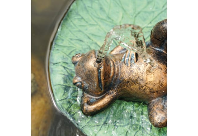 esotec Wasserspeier Solar Komplettset treibender Frosch auf Seerosenblatt mit Pumpe 101672 (Komplettset)