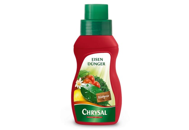 Chrysal Pflanzendünger Eisendünger Spezial-Flüssigdünger - 250 ml