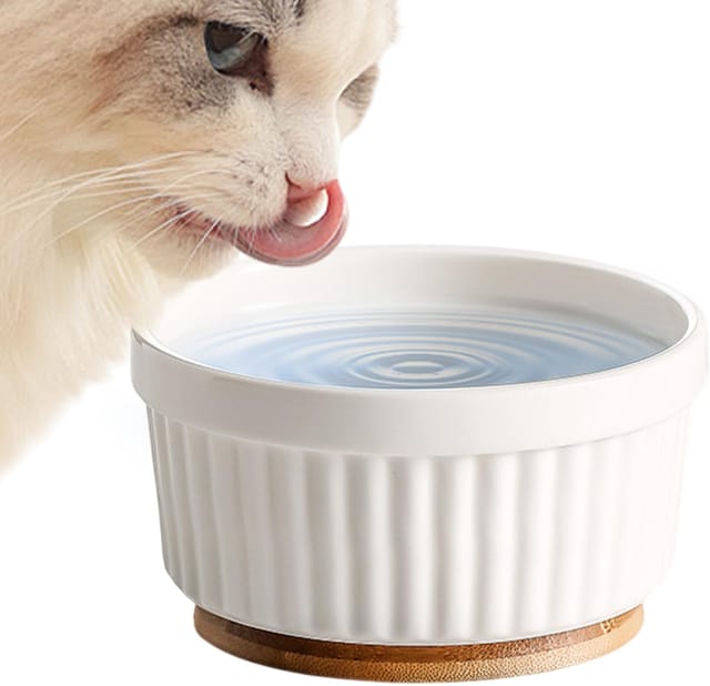 Beheizter Wassernapf Für Katzen Thermostatischer Welpenfutternapf Aus Keramik Hundefutterwärmer, Für Welpenbesitzer, Tierkliniken, Kaltes Klima