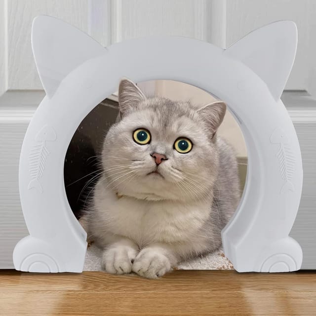 Große Katzen-innentür, Xl-katzen-innentür, Haustiertüren Für Katzen, Kätzchen Und Kleine Hunde (weiß)