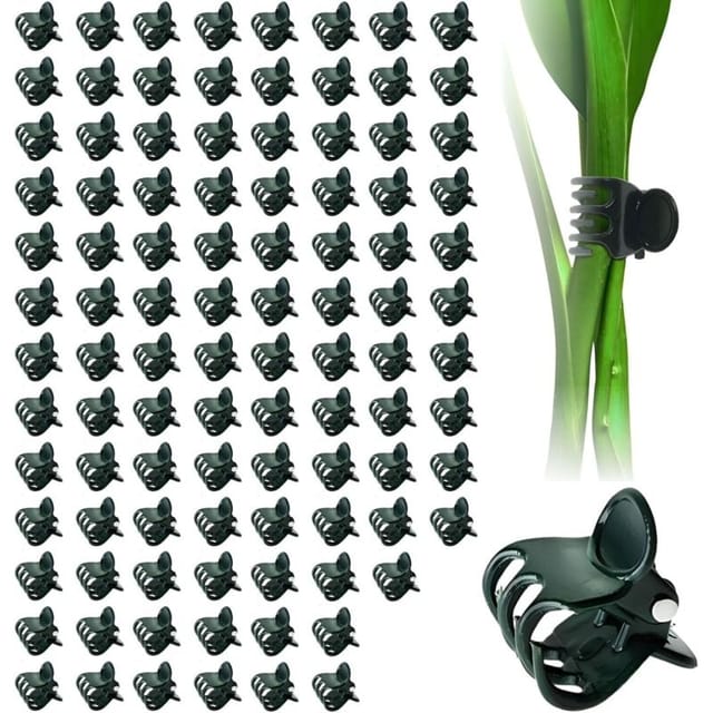 Wiederverwendbare Orchideenclips – 100er-packung, 15 Mm, Dunkelgrün, Aus Robustem Und Langlebigem Kunststoff Zur Befestigung Von Blumen.