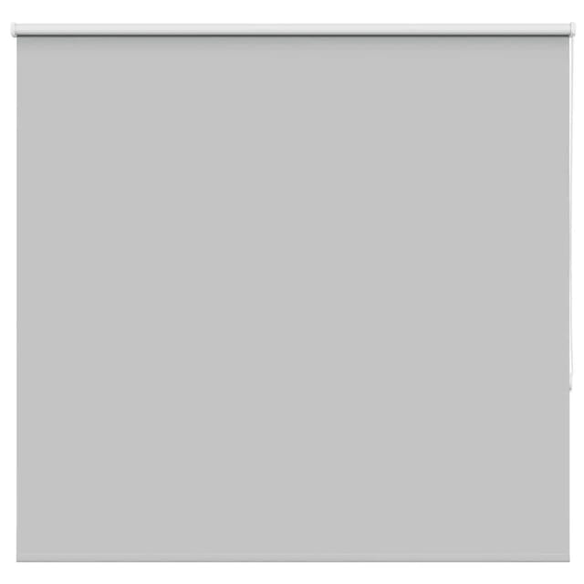 Verdunkelungsrollo Hellgrau 165x150cm Stoffbreite 161,6cm Vidaxl