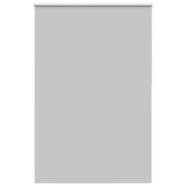 Verdunkelungsrollo Hellgrau 165x230cm Stoffbreite 161,6cm Vidaxl