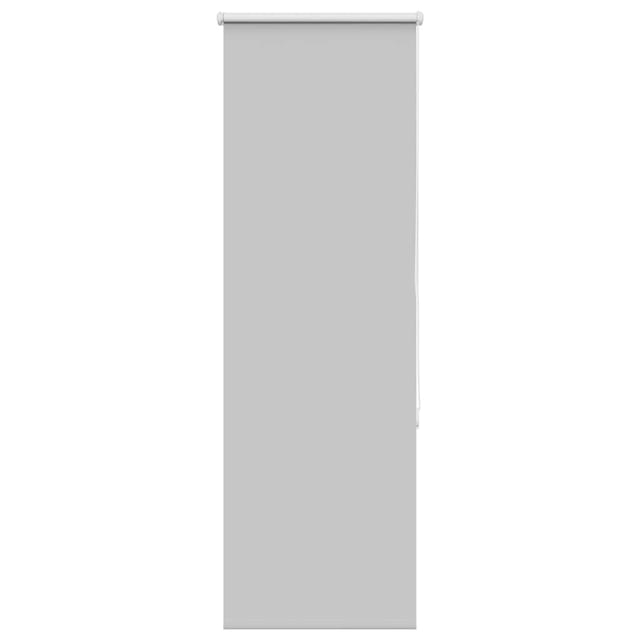 Verdunkelungsrollo Hellgrau 50x130 Cm Stoffbreite 45,7 Cm Vidaxl