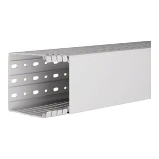 Tehalit Verdrahtungskanal hfr 100x100 HA 7100100 lgr