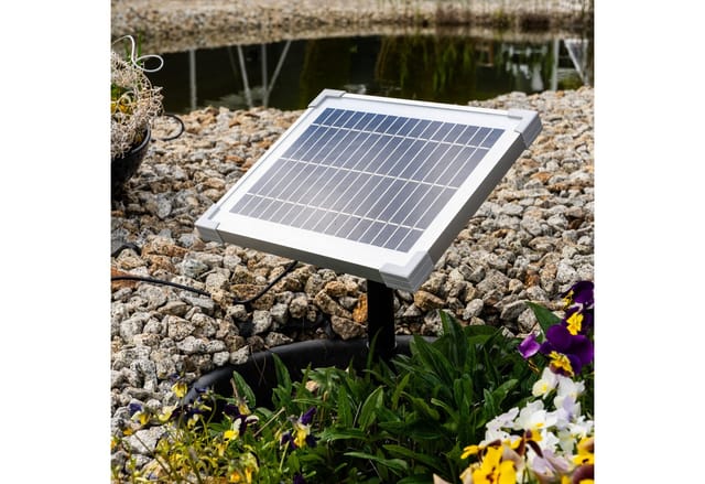 Esotec Solar Wasserspeier Set Liegender Frosch Pepe Solarbrunnen H=31cm 101678