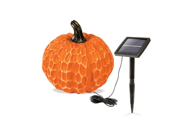 Esotec Solarleuchte Kürbis Dekoleuchte Kürbis ⌀20cm Duo Color Halloween 102683