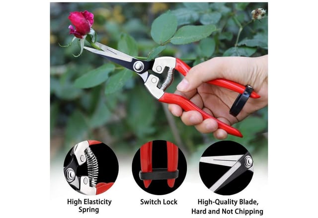 LuxusKollektion Gartenschere Gartenschere Set mit Handschuhen, Bypass, professionell, scharfe