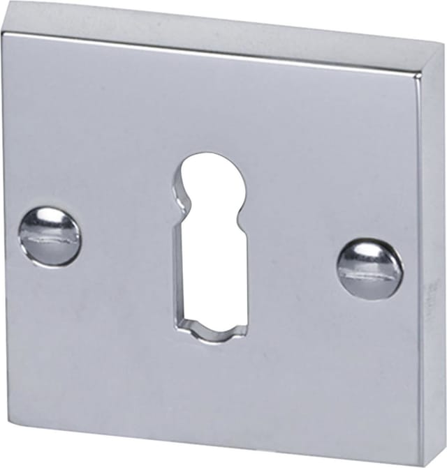 Südmetall Profilzylinder Eingangstür Rosette Edelstahl satiniert silber Ø 55 mm 2 Stück