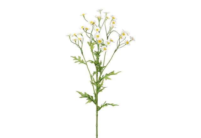 Kunstblume Künstliche Kamille ca. 60 cm. Korbblütler, weiß, Gasper