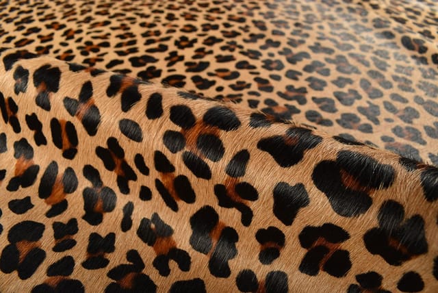 KUHFELL online & NOMAD Fellteppich KUHFELL TEPPICH STIERFELL MIT LEOPARDEN OPTIK ca. 210 x 190 cm