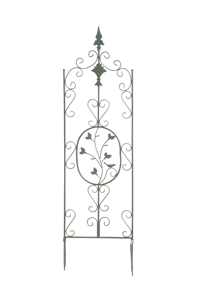Clp - Pflanzen Rankgitter Burgus, 120 X 35 Cm Antik-grün