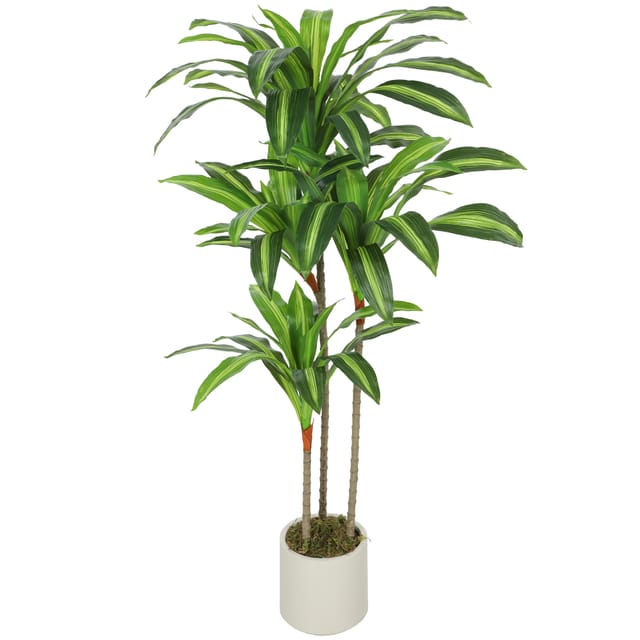 Künstliche Grüne Dracaena Aus Peva Und Holz Mit Pp- Und Zementtopf, 60 X 40 X 120 Cm