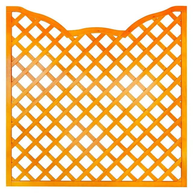 Andrewex Sichtschutzelement Calais 2 (180 x 180 cm, Mit Bogen, Pinie)