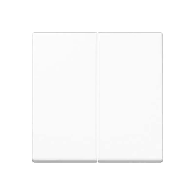 Jung Steuertaste 2fach Standard, Duroplast, Serie A, Alpinweiß A1702ww