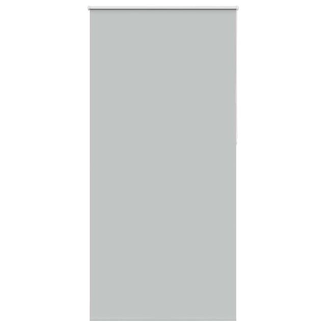Verdunkelungsrollo Hellgrau 95x210 Cm Stoffbreite 90,7 Cm