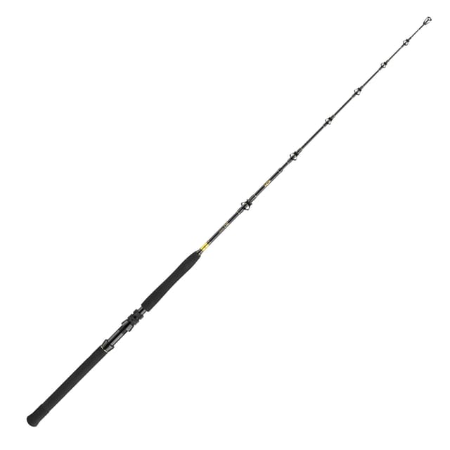 Daiwa BG Big Game 1.68m 20-30lbs Bootsrute