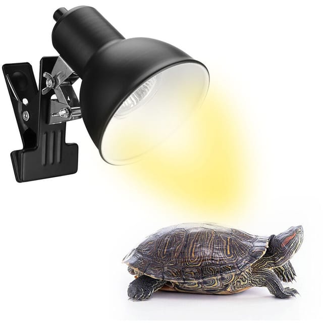 75-w-wärmelampe Für Reptilien, Schildkröten, Solar, Verstellbare Heizung Mit Klemme Für Reptilien, Echsen, Schildkröten Und Aquarien, Inklusive Leuchtmittel
