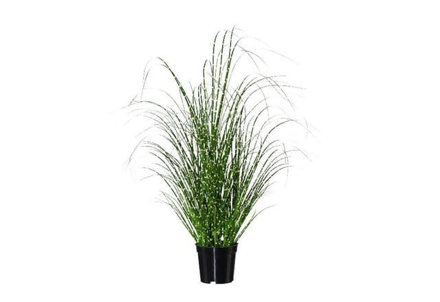 Künstliche Zimmerpflanze Topfpflanze Gras, Gasper, Höhe 58 cm, Farbe: Grün