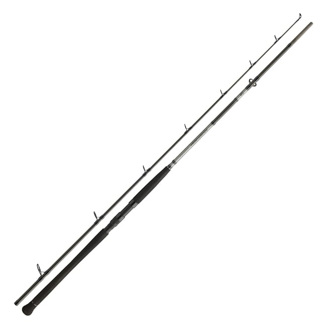 Daiwa Powermesh CF Boje 2,70m 150-400g Welsrute