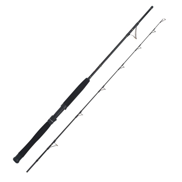 WFT Cool Sea Special Fjord 2pc. 2,10m 25lbs 30-300g Meeresrute