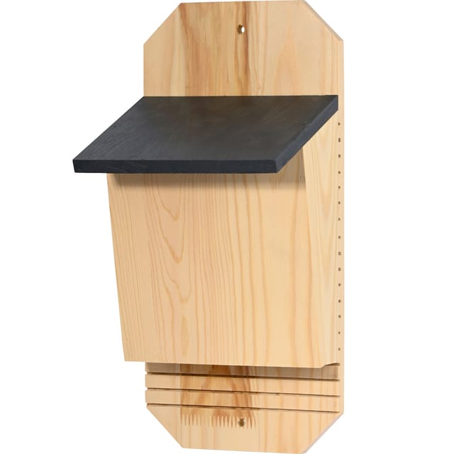 dobar Fledermauskasten "Microchiroptera", Anthrazit