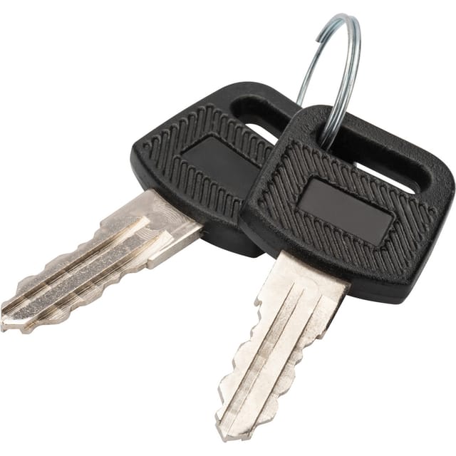 Schlüsselset Digitus Dn-key-wm 2 Stück Kompatibel Dynamic Soho