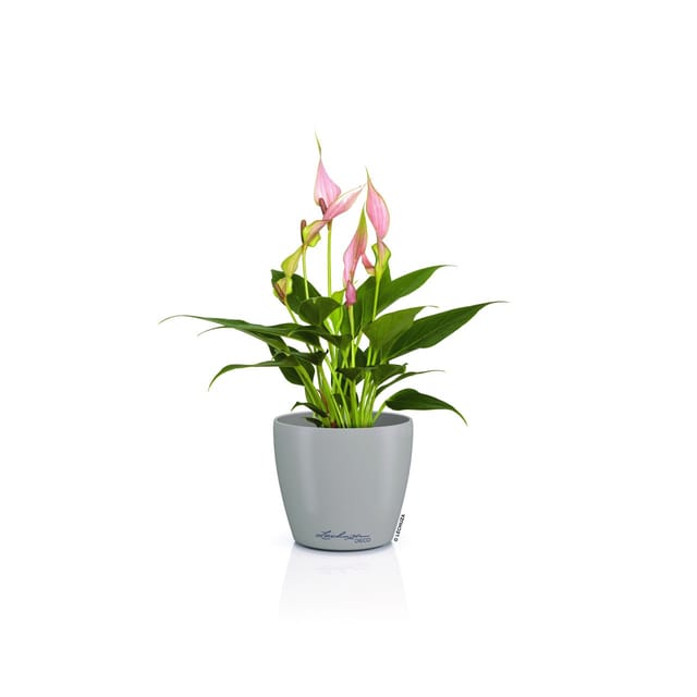 Lechuza Pflanztopf Deco 18 Ø 19 x 17 cm sandbraun