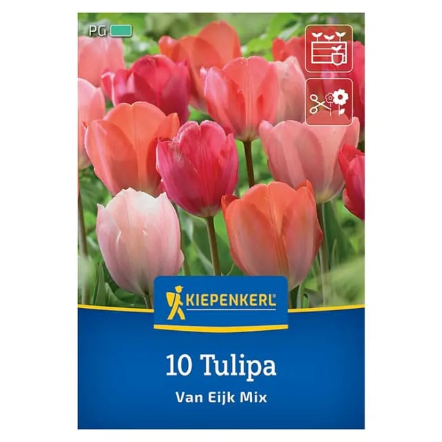 Kiepenkerl Darwin-Hybrid-Tulpe 'Van Eijk Mischung', 10 Zwiebeln, 10 Zwiebeln, rot