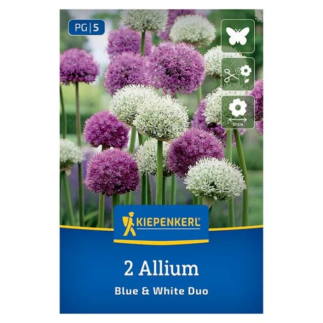 Kiepenkerl Zierlauchmischung 'Blue & White Duo', 2 Zwiebeln, 2 Zwiebeln, bunt
