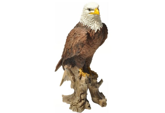 Dazikemo Dekofigur Gartenfigur Weißkopfseeadler