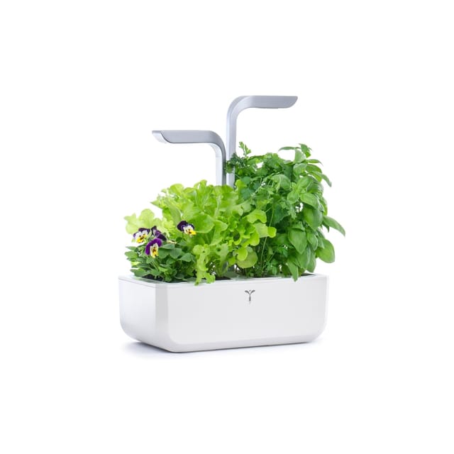 Véritable SMART Arctic White