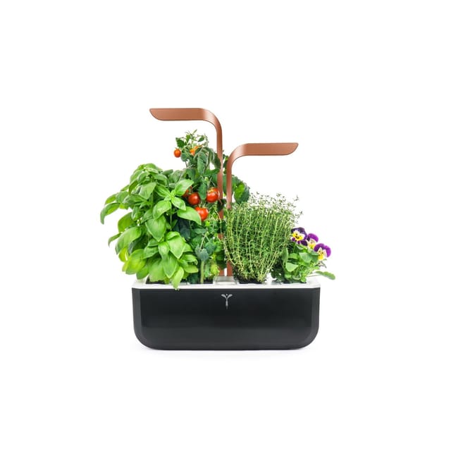 Véritable SMART Copper