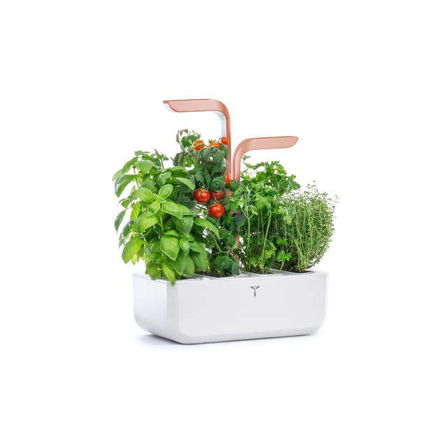 Véritable SMART White Copper