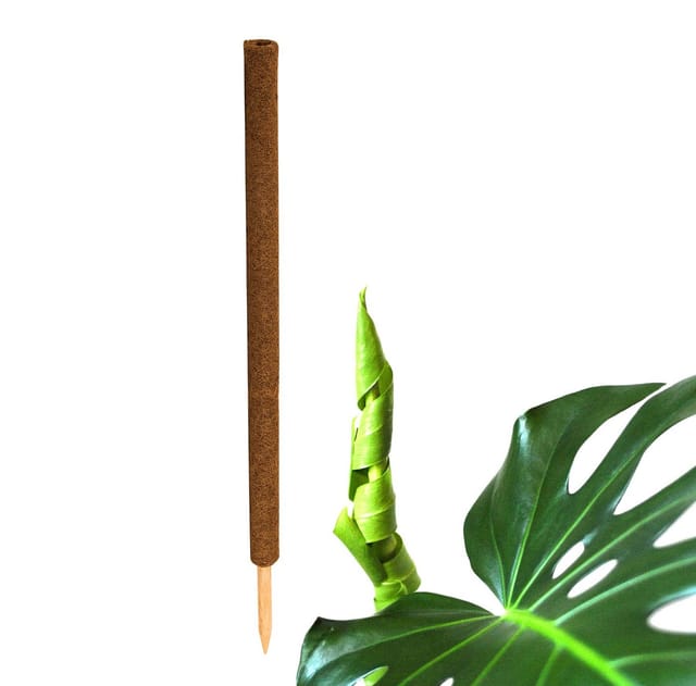 BigDean 1 Stück Pflanzstab Kokos 110cm Monstera Rankhilfe Rankstab Stab Moosstab Kokosstab für Pflanzen aus Natürlicher Kokosfaser Verlängerbar