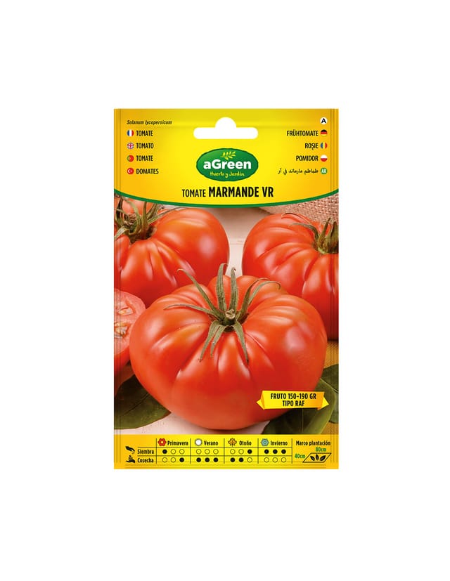 Paket Mit Marmande Vr Tomatensamen Aus Holland