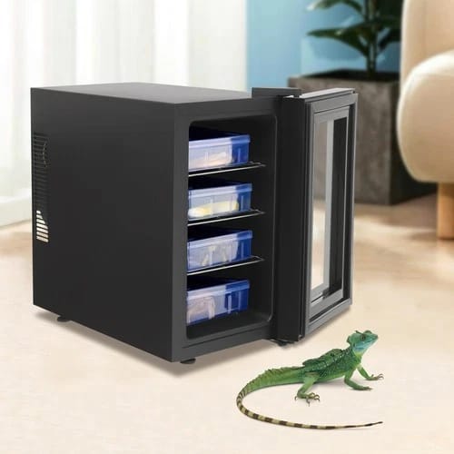 Reptilien-eierbrutkasten Mit Automatischer Steuerung (50–104 °f) Und Temperaturregelung Für Schildkröten, Echsen Und Geckos – Reptilien-inkubator Mit Glastür (23 L)