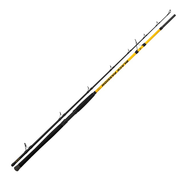 Black Cat Black Passion G2 Allround 2,70m 600g Wels-Allroundrute
