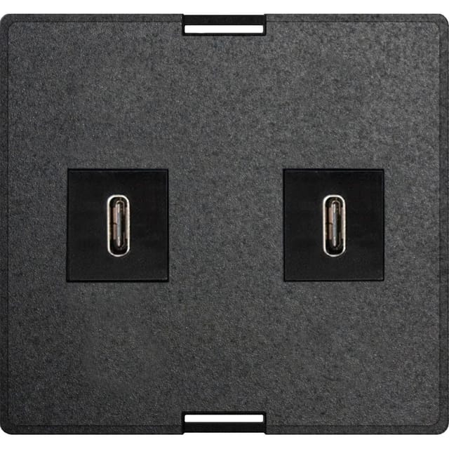 Evoline Wechselmodul Usb Charger 2 X Usb Typ C Schwarz Inkl. Netzteil
