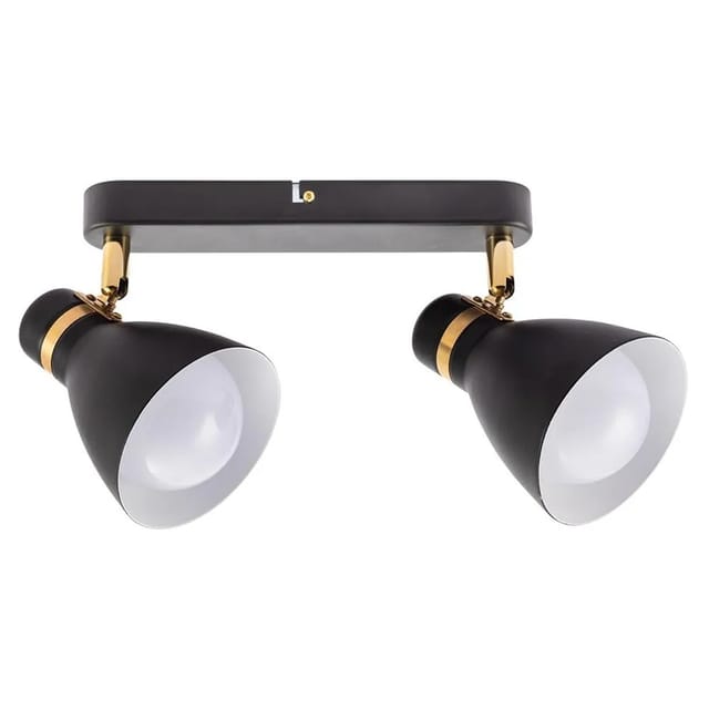 Arte Lamp Deckenstrahler Fafnir 2-flammig schwenkbar Schwarz E27