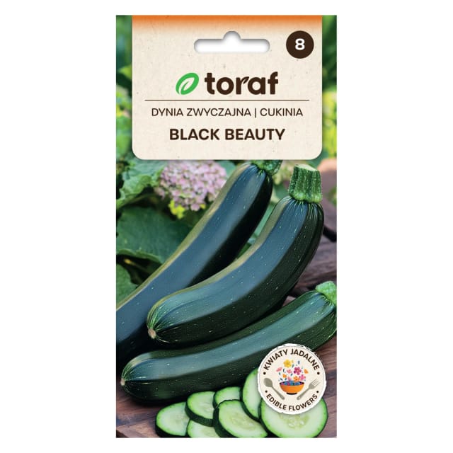 Schwarze Schönheitszucchini 5 G
